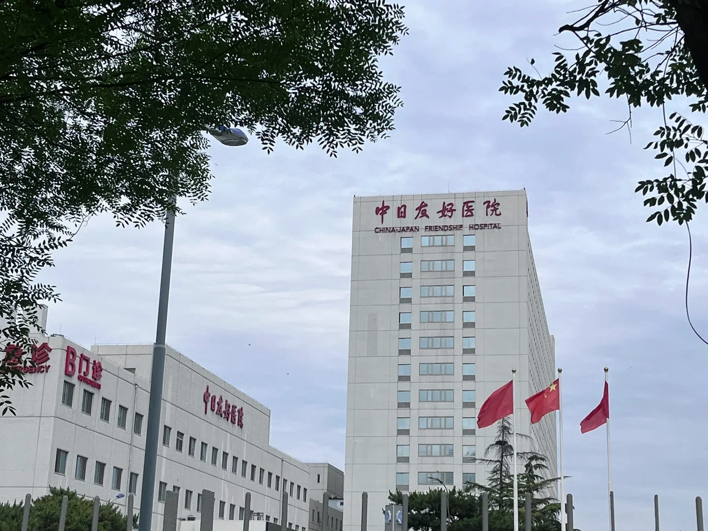 China-Japan Friendship Hospital