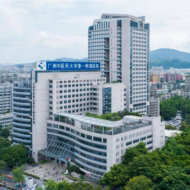 The First Affiliated Hospital, Guangzhou University of Traditional Chinese Medicine