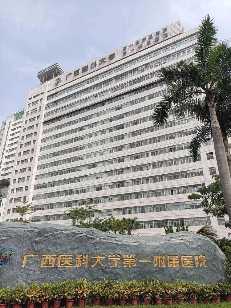 The First Affiliated Hospital of Guangxi Medical University