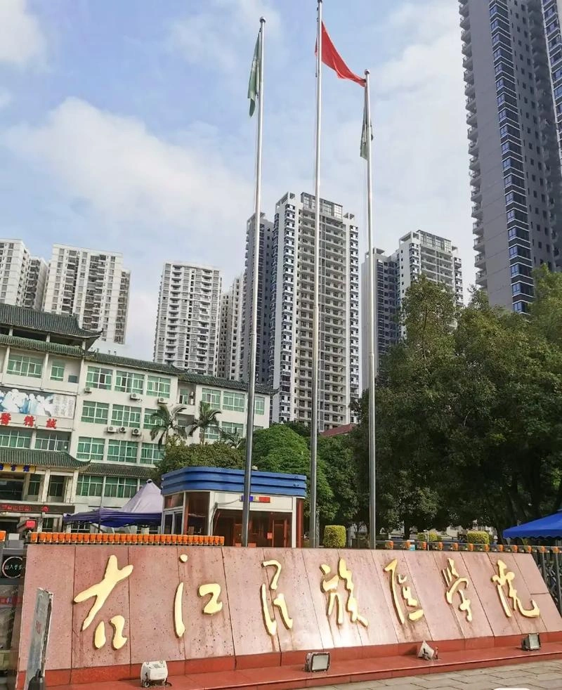 The Affiliated Hospital of Youjiang Medical University for Nationalities