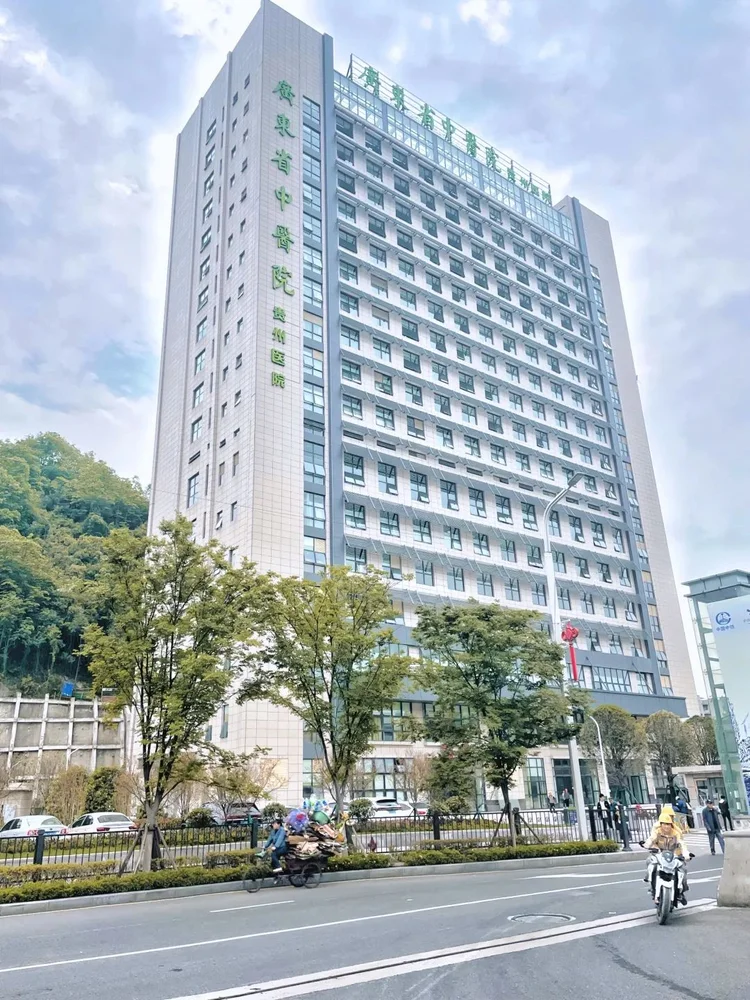 Guangdong Provincial Hospital of Traditional Chinese Medicine Guizhou Hospital