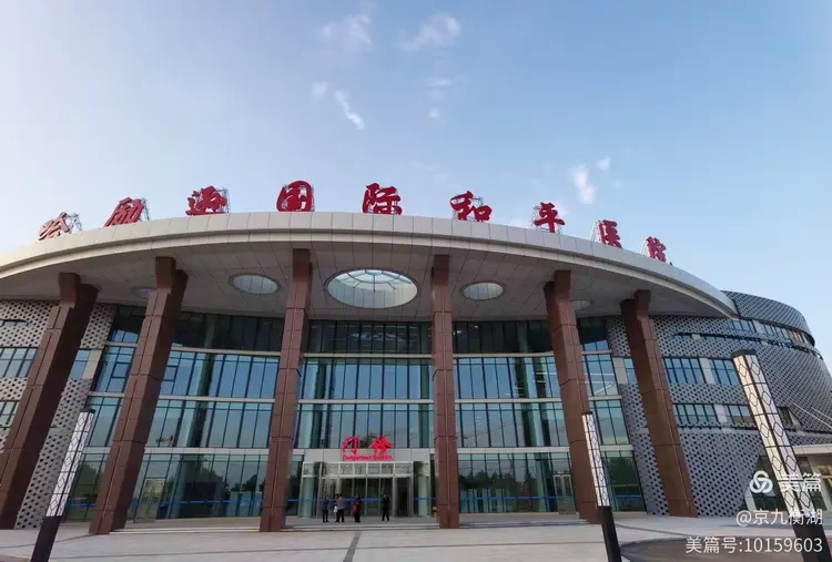 Harrison International Peace Hospital (Hengshui People's Hospital) - Photo 3