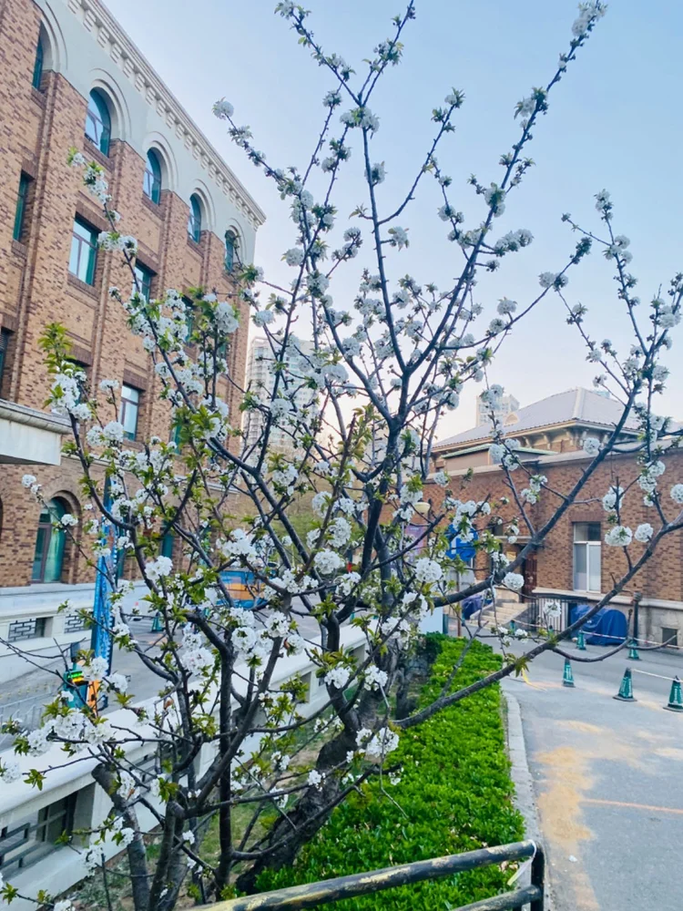 Zhongshan Hospital of Dalian University - Photo 3