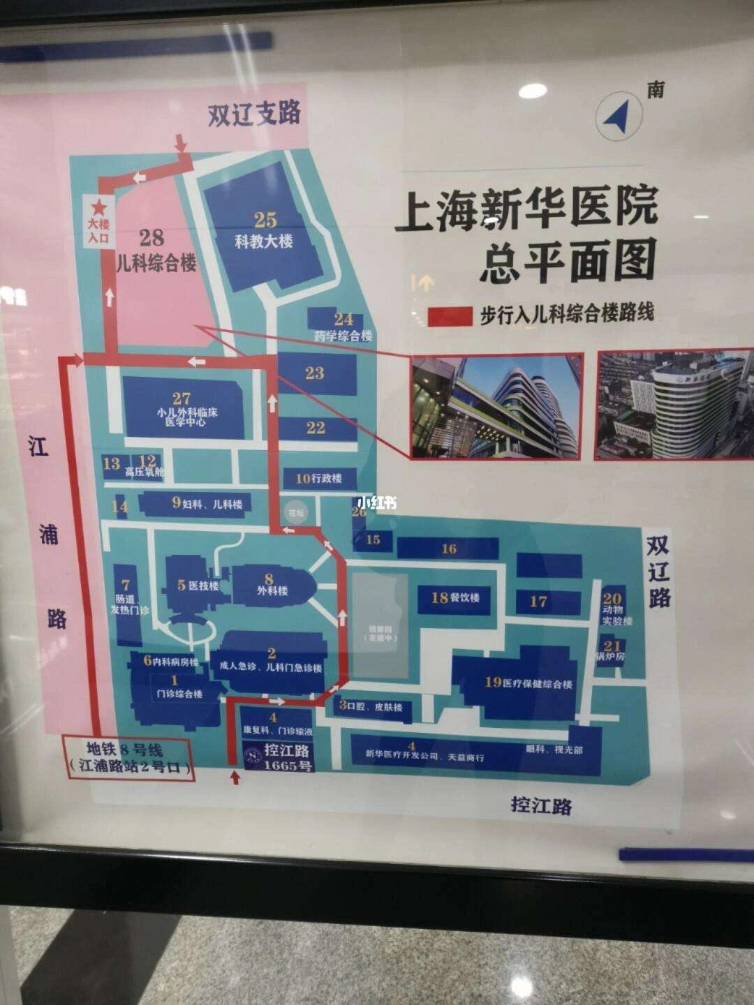 Xinhua Hospital, Shanghai Jiao Tong University School of Medicine - Photo 3