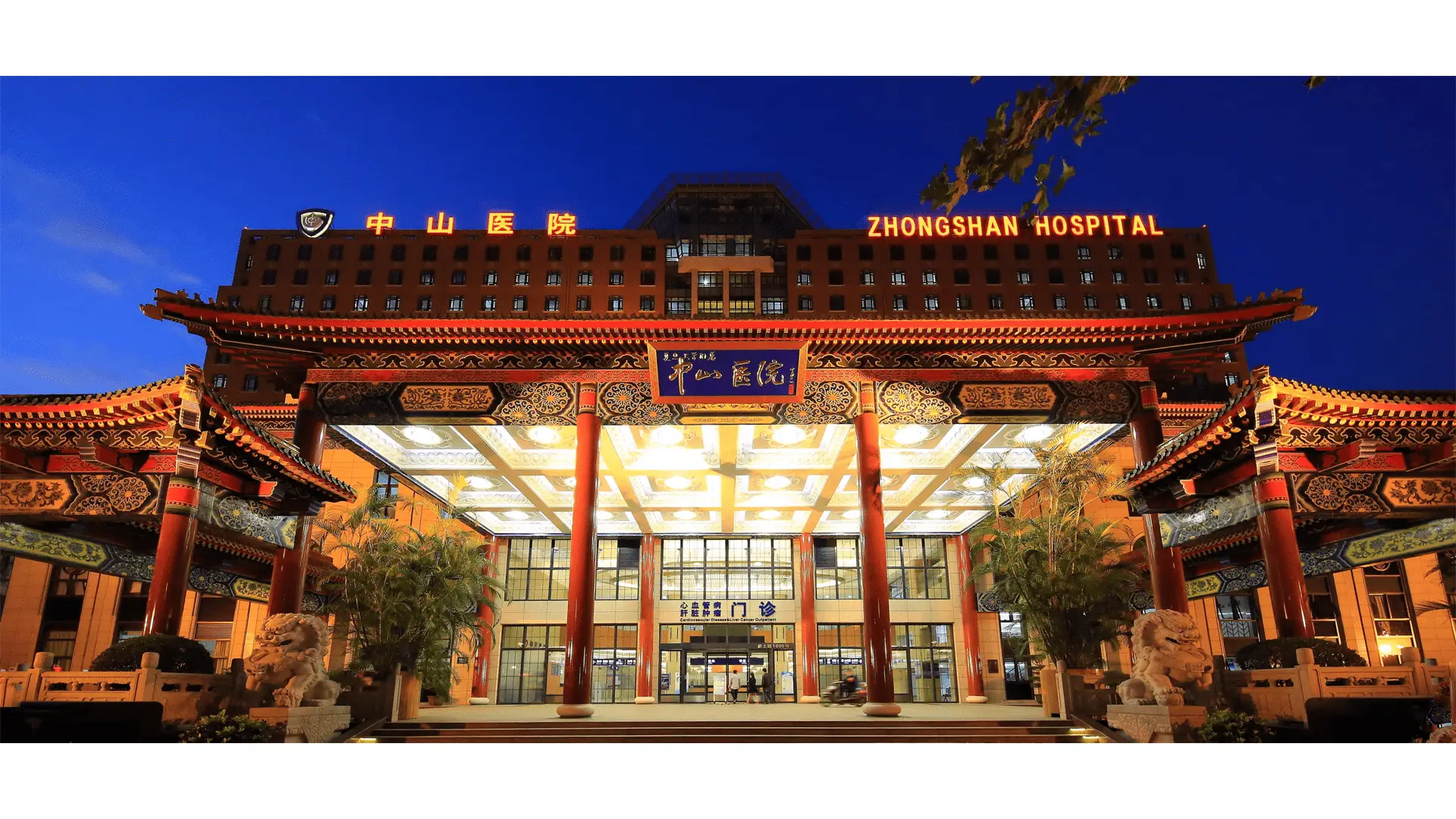 International Medical Department, Zhongshan Hospital, Fudan University - Photo 2