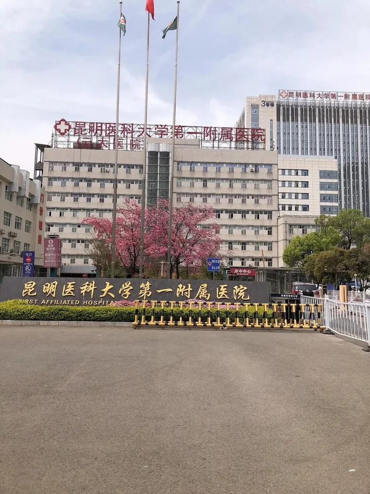 The First Affiliated Hospital of Kunming Medical University