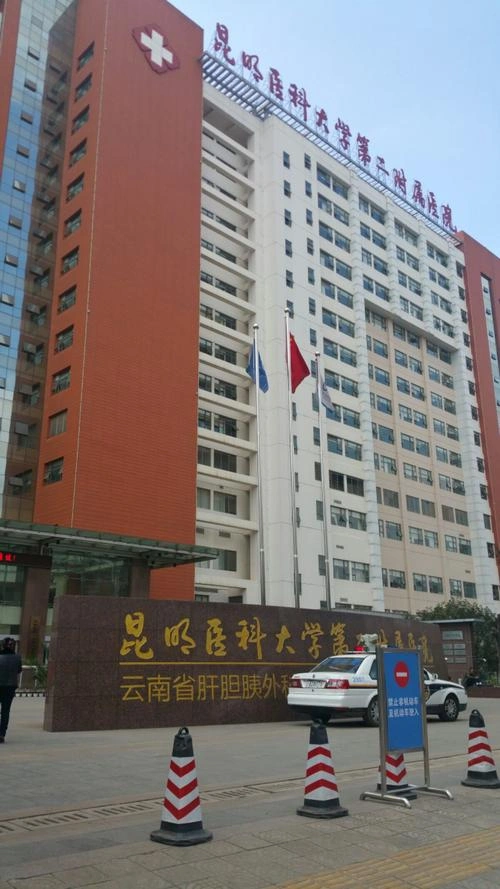 The Second Affiliated Hospital of Kunming Medical University