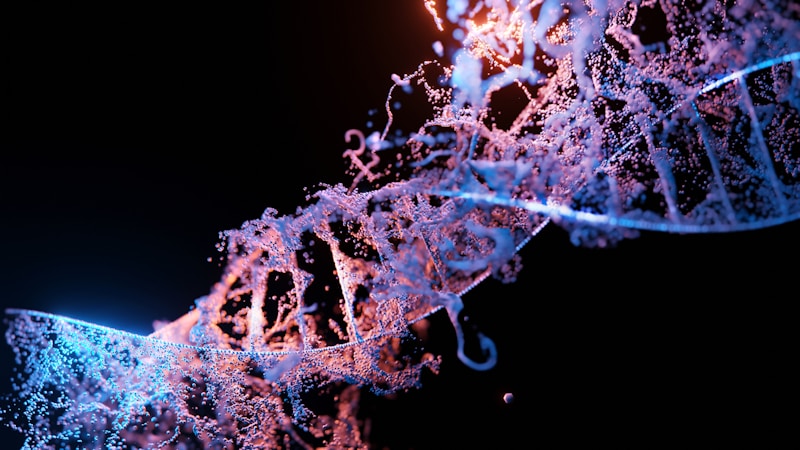 DNA double helix structure