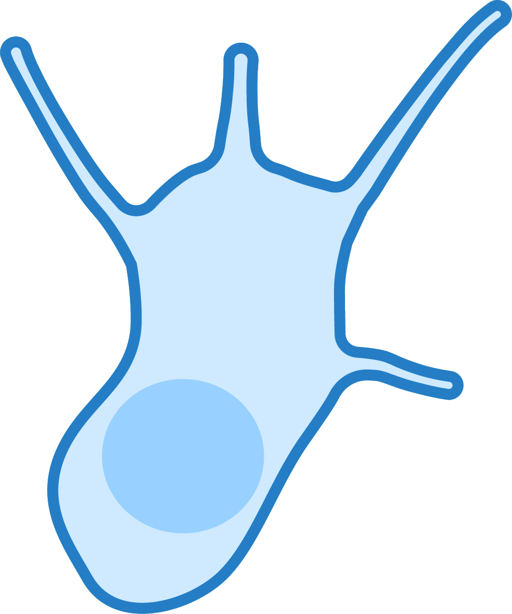 Illustration of a CD8+ T cell cytotoxic T lymphocyte