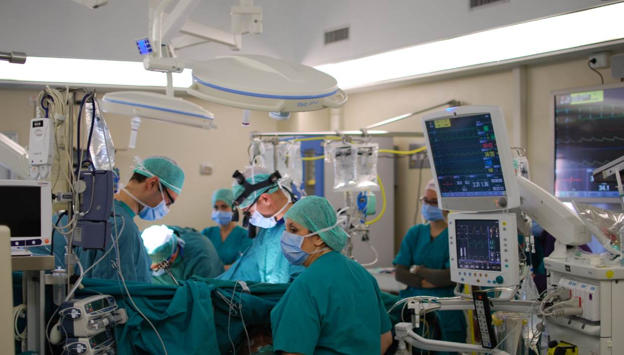 Organ transplant surgery team performing xenotransplantation procedure