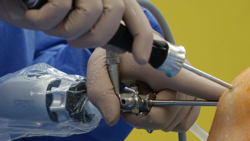 Medical laboratory with cryopreservation equipment for bone tissue banking