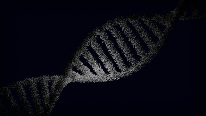 Laboratory setting for epigenetic research on immune aging reversal
