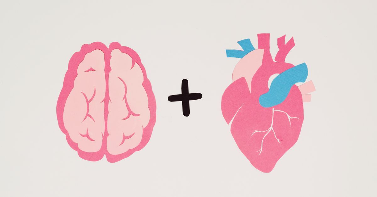 Brain and heart symbols representing the heart-brain stroke connection