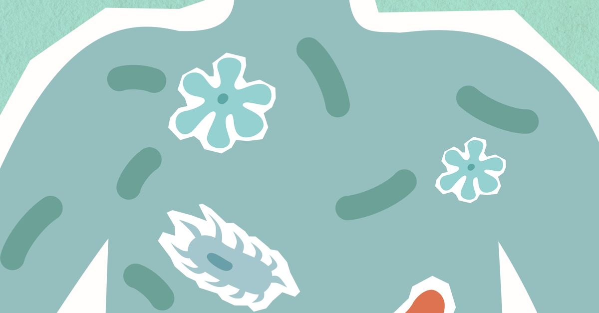 Illustration of human microbiome within body silhouette
