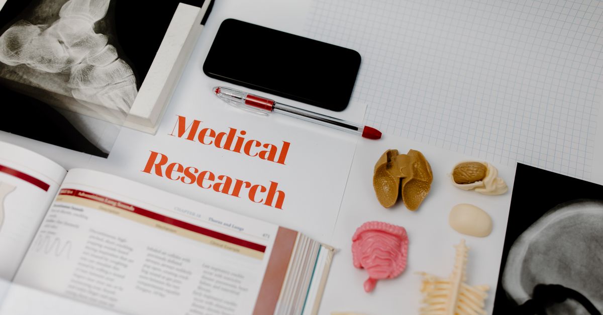 Medical research tools and anatomical models