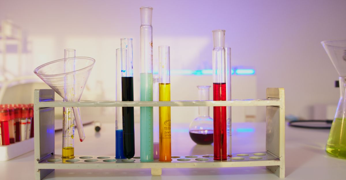 Metabolic reprogramming and fatty acid oxidation in immune cells