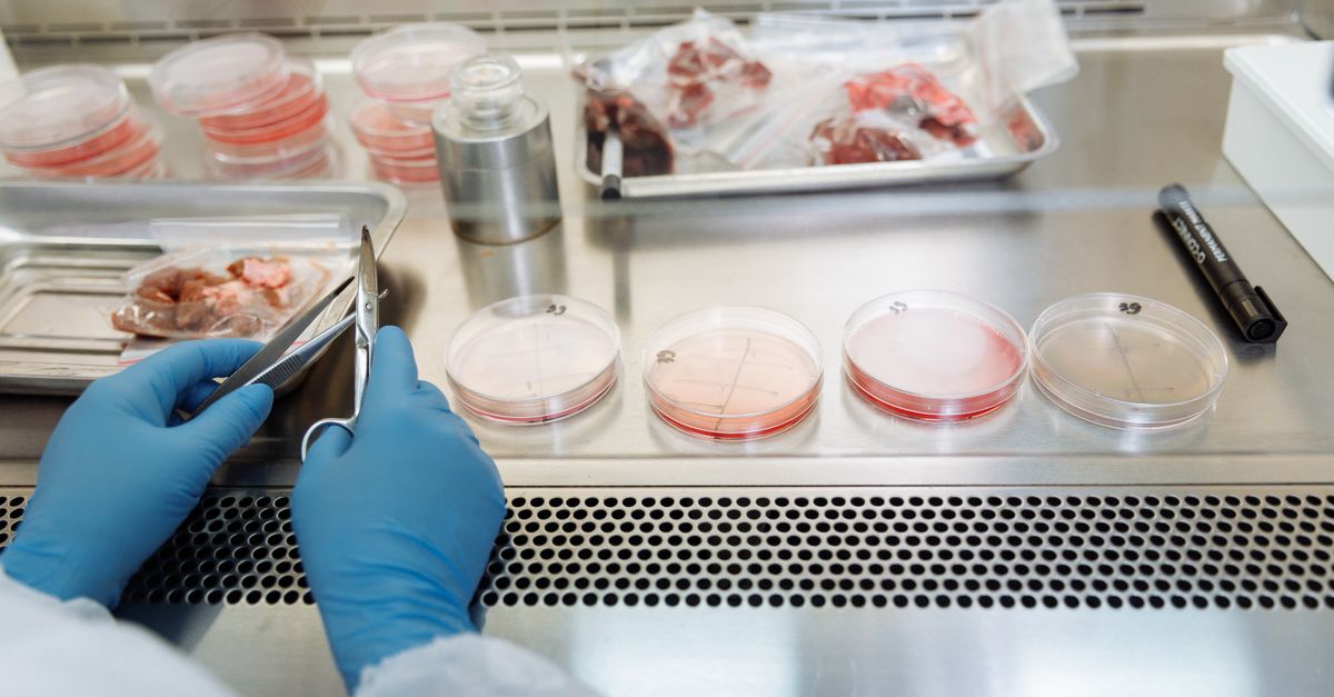 Precision oncology and molecular testing laboratory