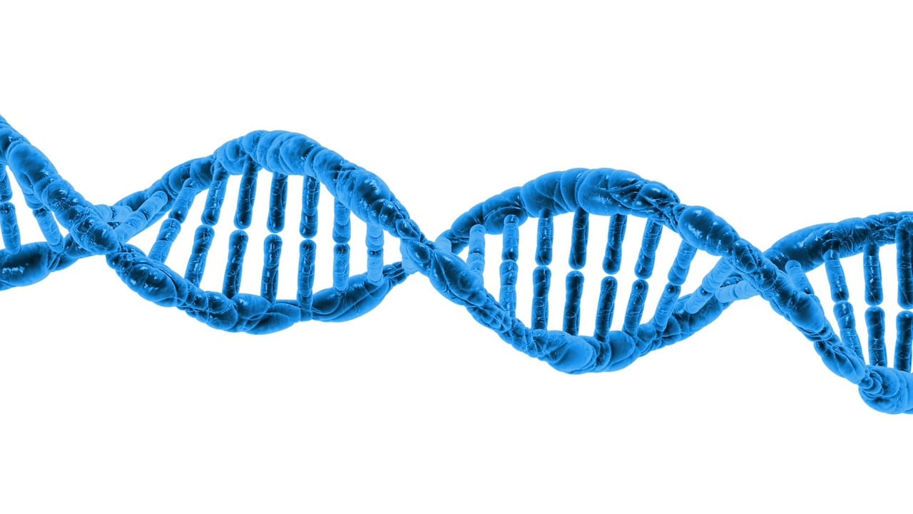 Molecular mechanism of GLP-1 GIP dual agonist