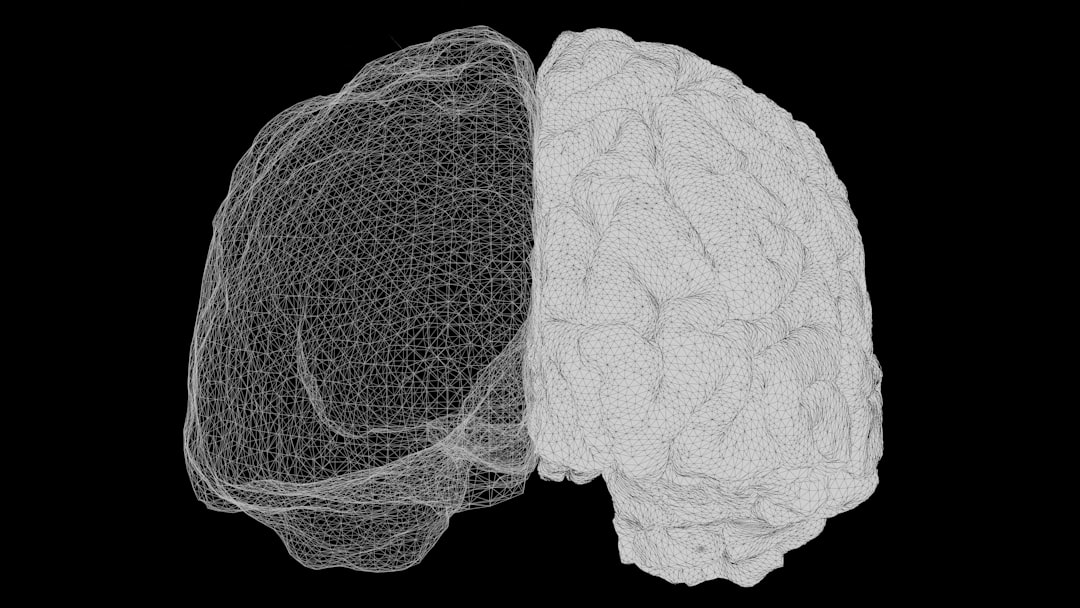 Brain imaging technology