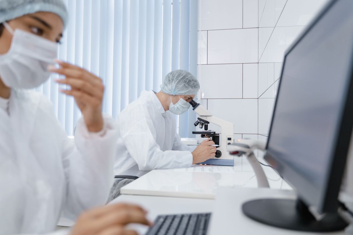 Medical research team working in laboratory