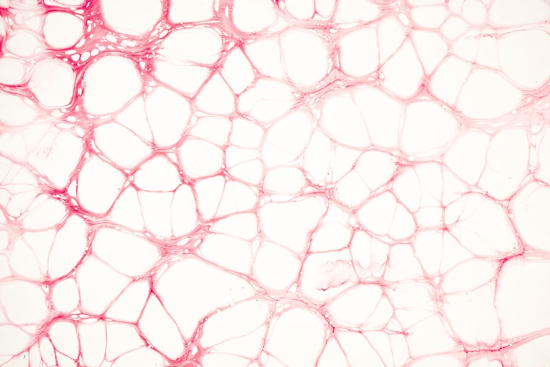 Pink cells under microscope showing cell biology