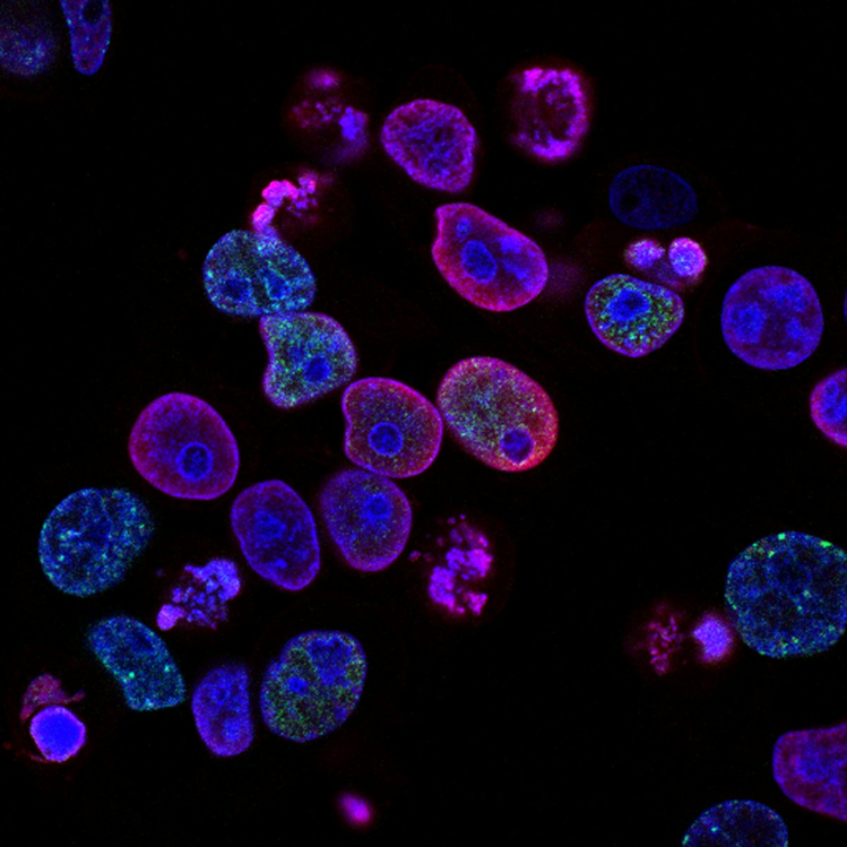 Stem cell research laboratory
